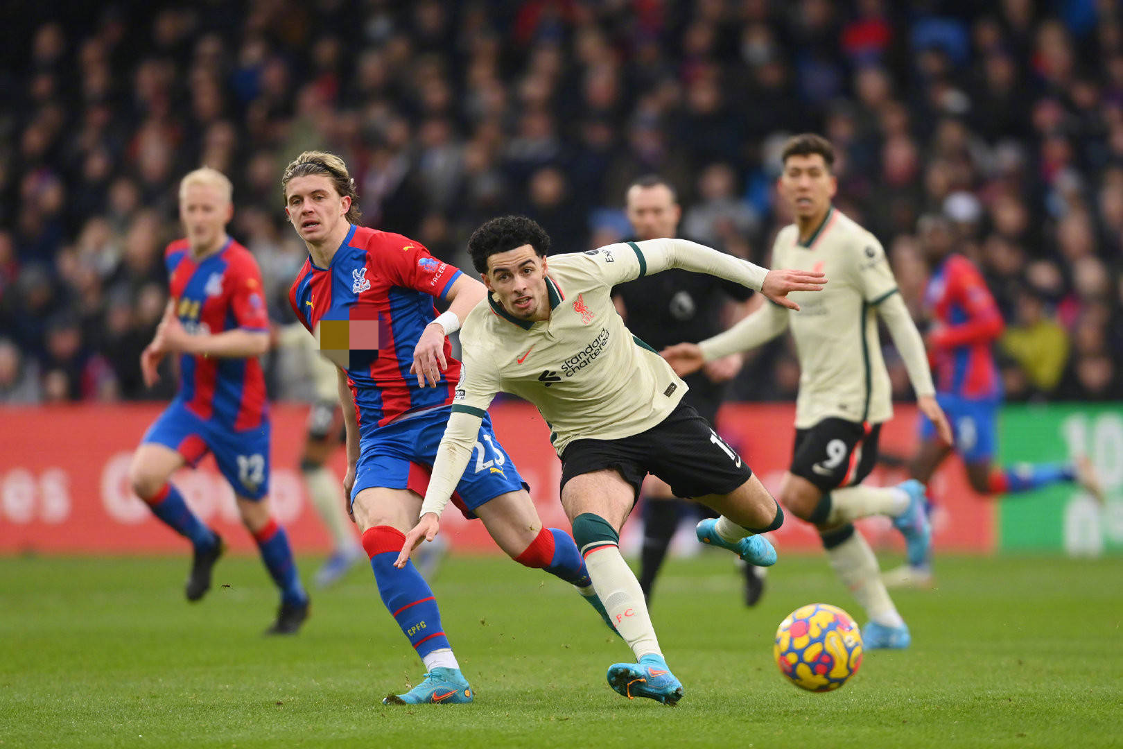 不仅能够极 不仅能够极